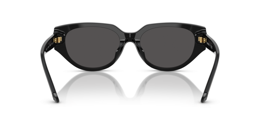 OKULARY SWAROVSKI SK 6035D 100187 54 ROZMIAR M