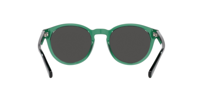 OKULARY POLO RALPH LAUREN PH 4192 608487 51 ROZMIAR M
