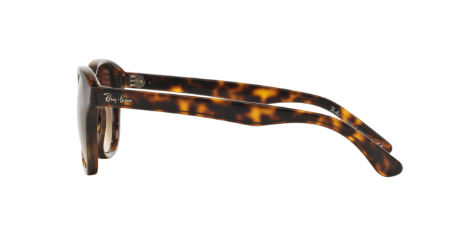 OKULARY RAY-BAN® RB 4203 710/13 51 ROZMIAR M