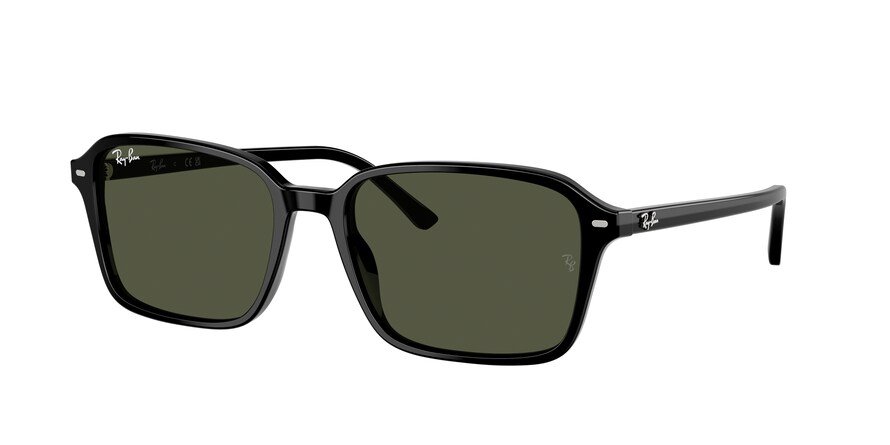 OKULARY RAY-BAN® RAIMOND RB 2231 901/31 58 ROZMIAR L