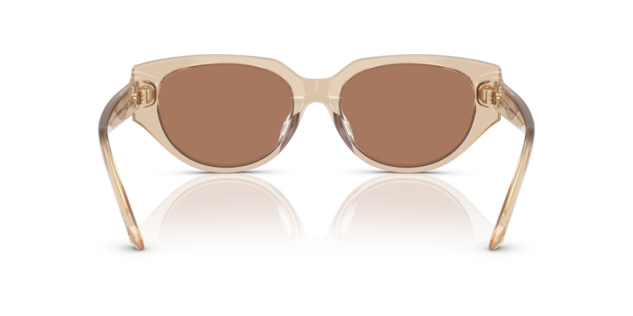 OKULARY SWAROVSKI SK 6035D 106673 54 ROZMIAR M