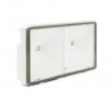 ONTEC S20 M1X 60/180 M/NM ST W BIAŁY OPRAWA AWARYJNA LED 3.6W 1H IP65 IK08