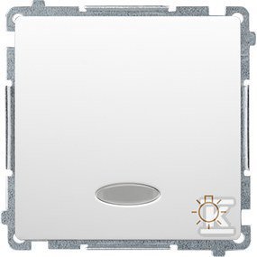 PRZ.ŚWIATŁO PODŚW. BMS1L.01/11+RAM.BI