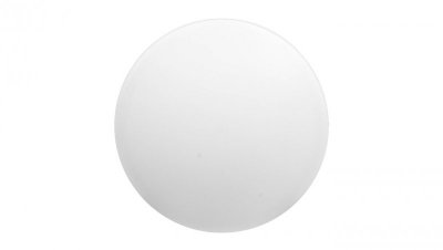 Główka lampki sygnalizacyjnej 22mm biała BA9S ZB5AV01