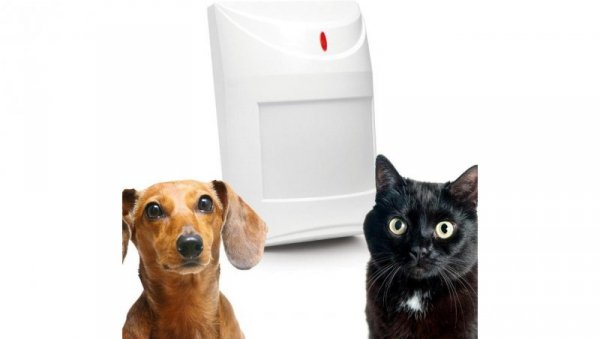 SATEL CZUJNIK RUCHU PIR AQUA PET