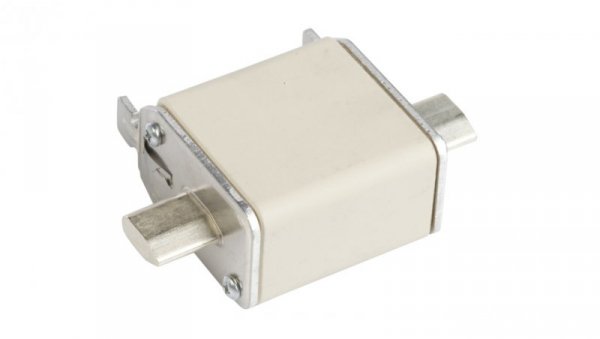 Wkładka bezpiecznikowa NH00 100A gF 500V 004114339