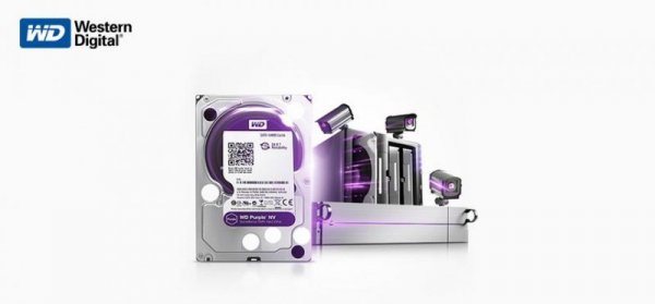 DYSK WD PURPLE 4TB WD44PURZ