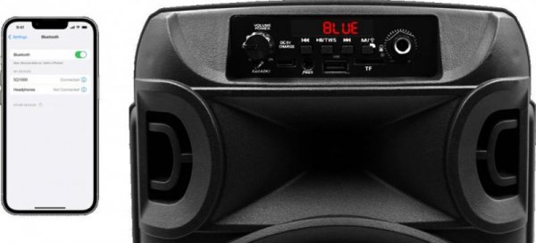 Głośnik mobilny SQUEAK SQ1006 30W Radio FM Czarny