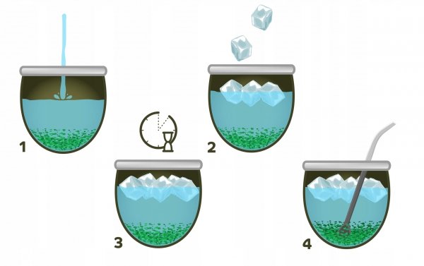 Yerba Mate Green Guarana Premium 500g mas energia