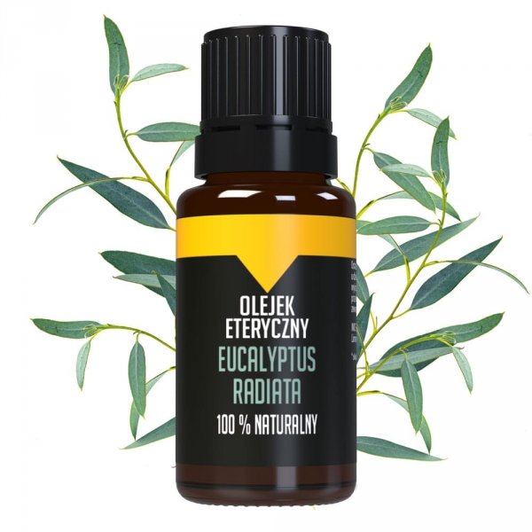 Bilovit Olejek eteryczny Eucalyptus radiata - 10 ml