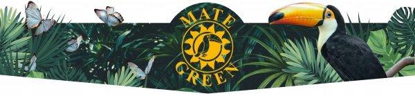 Zestaw Yerba Mate Green Matero bombilla DLA DWOJGA 3x 50g Akcesoria Guarana
