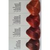 ALLWAVES FARBA DO WŁOSÓW 100ML 4.22 CZARNA JAGODA