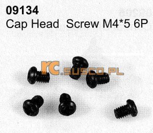 Cap head screw M4*5 6P