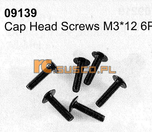 Cap head screw M3*12 6P