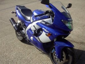 Crashpady Classic RG Racing Yamaha Thunder Cat Black