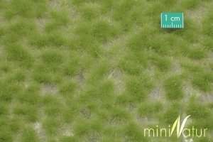 MiniNatur: Tuft - Długa wiosenna trawa 1 (15x4 cm)