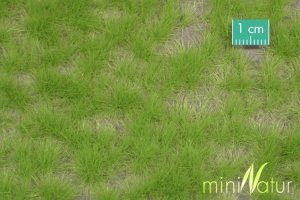 MiniNatur: Tuft - Długa wiosenna trawa 12 mm (8x15 cm)