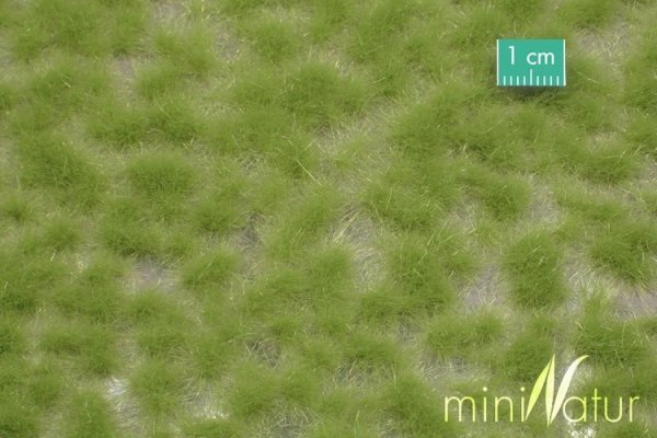 MiniNatur: Tuft - Długa wiosenna trawa 1 (15x4 cm)