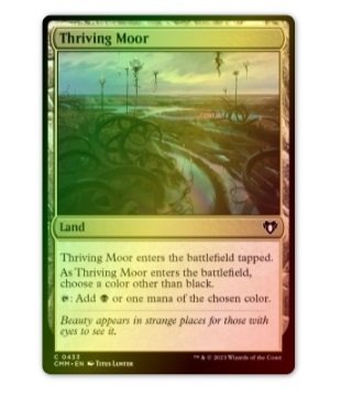 Thriving Moor Foil