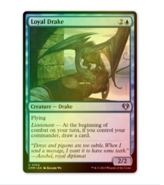 Loyal Drake Foil