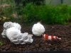 Baby Shrimp Shelters Zielony 20 szt