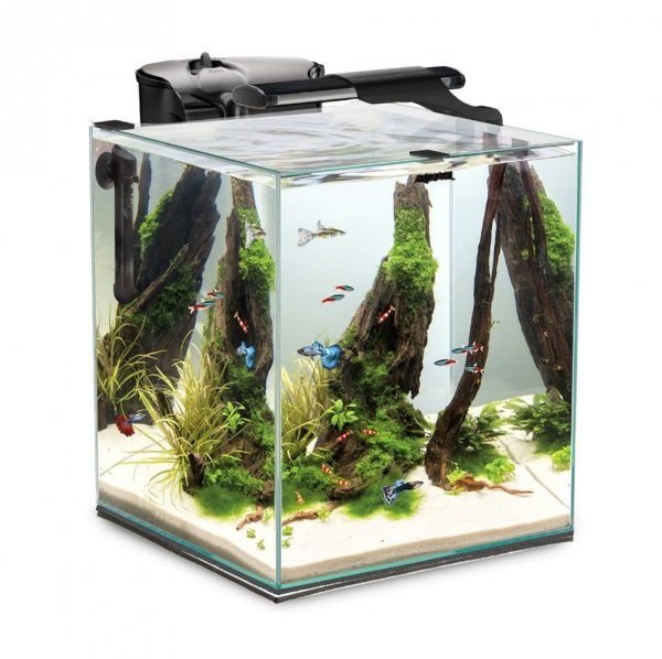 Aquael Fish&amp;Shrimp Set DUO Czarny Zestaw Akwarium 49l