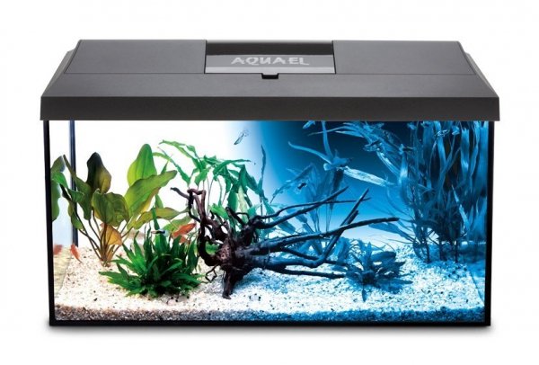 Aquael Pokrywa Leddy 40 Day&amp;Night 41x25cm 7W LED Czarna
