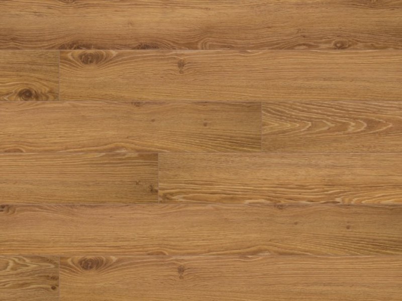 CLASSEN DISCOVERY 10 mm AC4 4V Dąb Argenta Naturalny WR