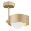 LAMPA SUFITOWA ZŁOTA SPOT REFLEKTOR KULA BIAŁA NOWOCZESNA DO POKOJU SALONU SYPIALNI ŁAZIENKI IP44 HERMETYCZNA ARGON MASSIMO PLUS 8568LAMPA SUFITOWA ZŁOTA SPOT REFLEKTOR KULA BIAŁA NOWOCZESNA DO POKOJU SALONU SYPIALNI ŁAZIENKI IP44 HERMETYCZNA ARGON MASSIM