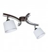 Lampa sufitowa ze szklanymi kloszami - TOFIK 1320/2 LIGHT HOME