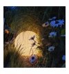 Lampa ogrodowa kula GLOBO, latarnia, stojąca, biała, dekoracyjna, LED, 30cm