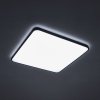 LAMPA 