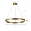 LIGHT PRESTIGE MIDWAY LAMPA WISZĄCA ZŁOTA RING KOŁO OBRĘCZ  LP-033/1P S GD Triangle