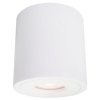 OPRAWA NATYNKOWA TUBA BIAŁA SPOT IP65 HERMETYCZNA DO ŁAZIENKI SPOT LIGHT PRESTIGE FARO LP-6510/1SM XL WH