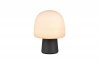 STEEN 568200132