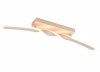 GINKO R65791166