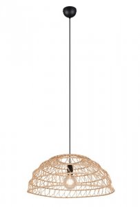 PAULETTE R36141026