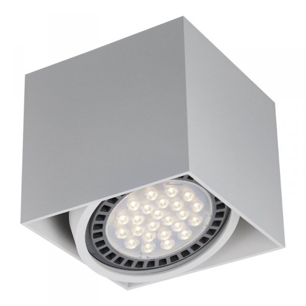 ZUMA LINE ACGU10-114 BOX1 PLAFON BIAŁY SPOT DOWNLIGHT