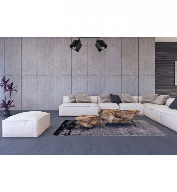 Plafon nowoczesny - PATTAYA 2101/2L LIGHT HOME