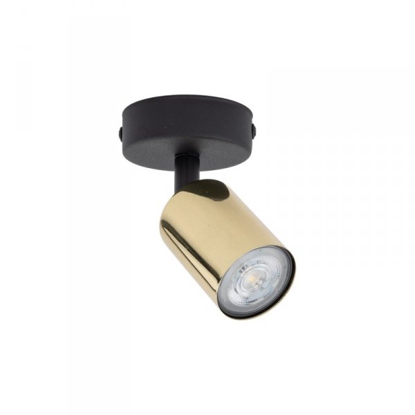 TK LIGHTING LAMPA TOP GOLD 1
