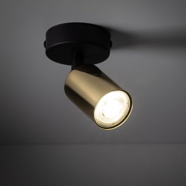 TK LIGHTING LAMPA TOP GOLD 1