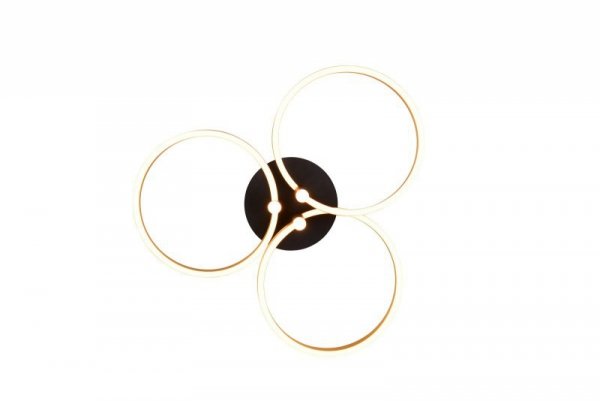 CARUSO 648110680