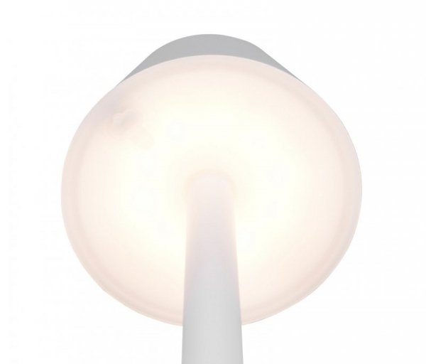 VIDAL R54991131