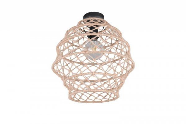 HIVE R61681036