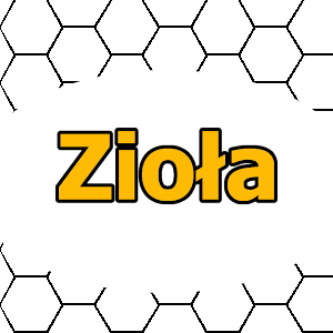 Zioła