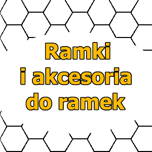 Apitec.pl 