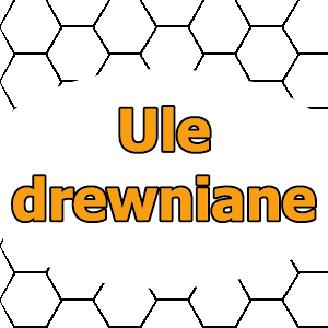 Apitec.pl 