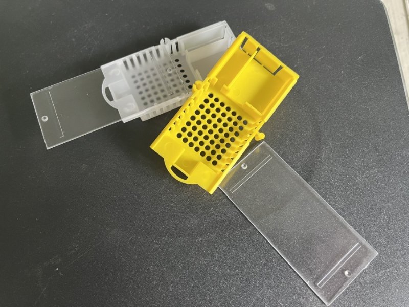 Queen bee cage (model 1)