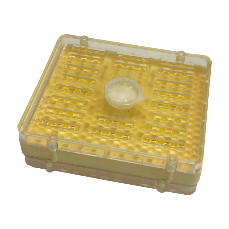 Queen rearing system with 60 holes (QRS_60) Jenter method