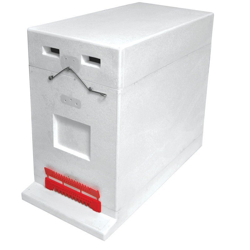 6-frame nucleus hive Dadant